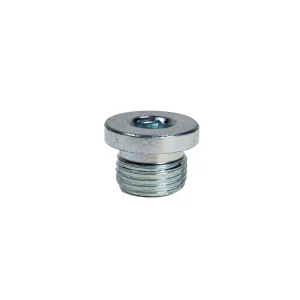 Tapón ciego hidráulico Allen BSPP G1/2A VSTI ZOOMLION 1140107416 | BSPP G1/2A Hydraulic Hex Socket Blanking Plug (VSTI)